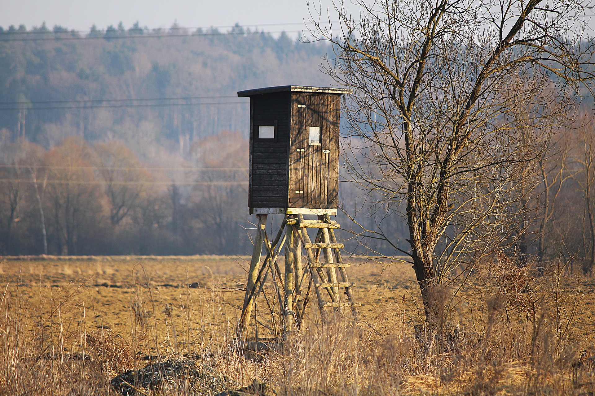 Featured Image for How to Build an Inexpensive Hunting Blind